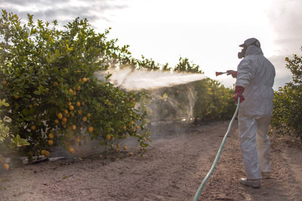 Pest Control for Restaurants in Lyndonville, VT